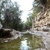 Canyon Wall at Creek 05