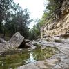 Canyon Wall at Creek 06