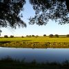 Looking Across River