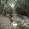 The Weeping Wall at Creek 01