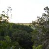 Treetop Vista From Canyon Summit 02