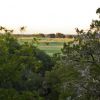 Treetop Vista From Canyon Summit 03