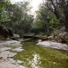 Weeping Wall Creek